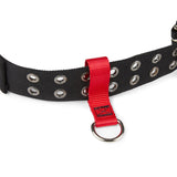 Belt-Loop Anchor