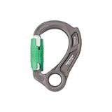 Director Locksafe