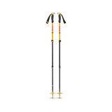Traverse 3 Ski Poles