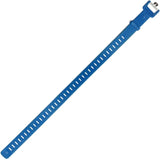 Ski Strap