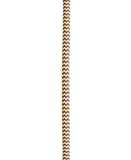 Woodpecker