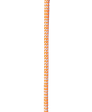 Woodpecker